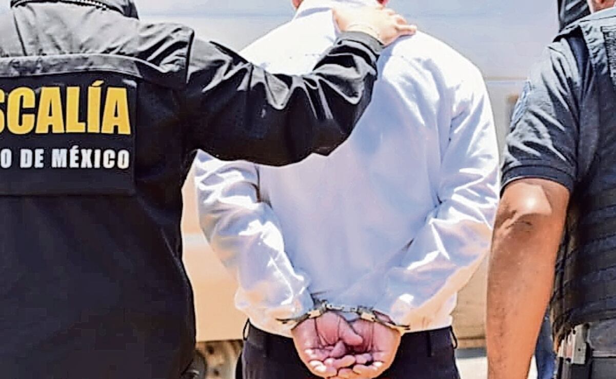 Profepa rescata 176 aves silvestres que eran vendidas ilegalmente en Guanajuato; 72 murieron por malas condiciones