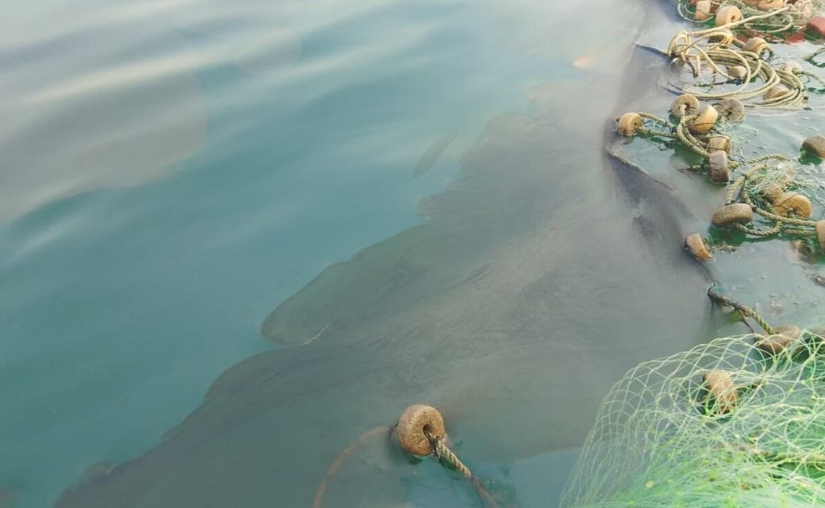 Reportan derrame de hidrocarburos en mar de Tabasco; PEMEX ya realiza labores de limpieza en la zona