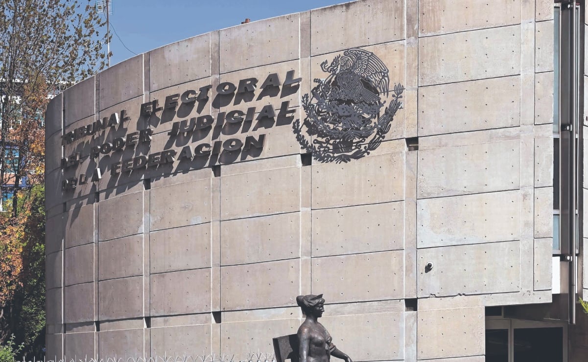 Deportan a 252 mexicanos tras redadas en EU; Sheinbaum pedirá información sobre presuntos cazarrecompensas