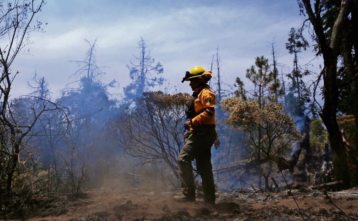 Liberan a activista ambiental en Puebla; juez determinó falta de pruebas
