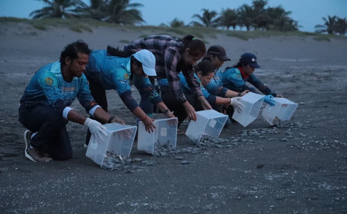 Alertan a mexicanos por inundación en Nuevo México; advierten tormenta de arena y lluvias intensas en El Paso, Texas 