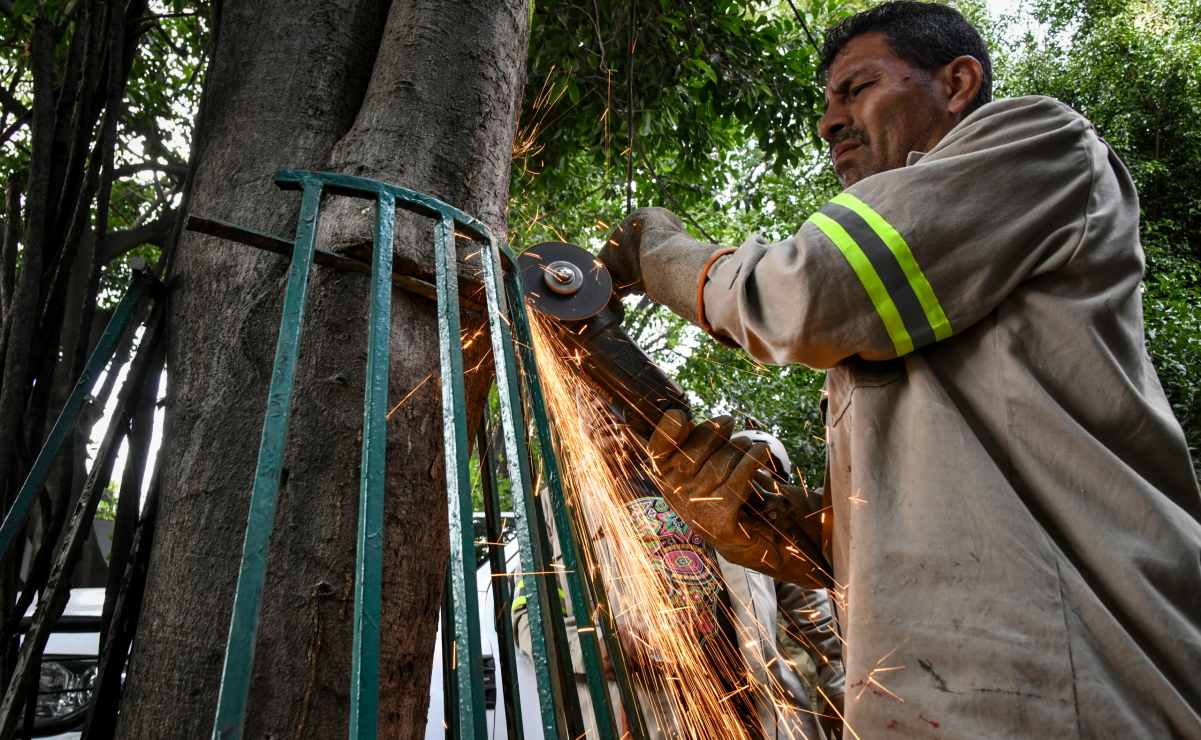 Expropian 37 predios en Edomex para tren