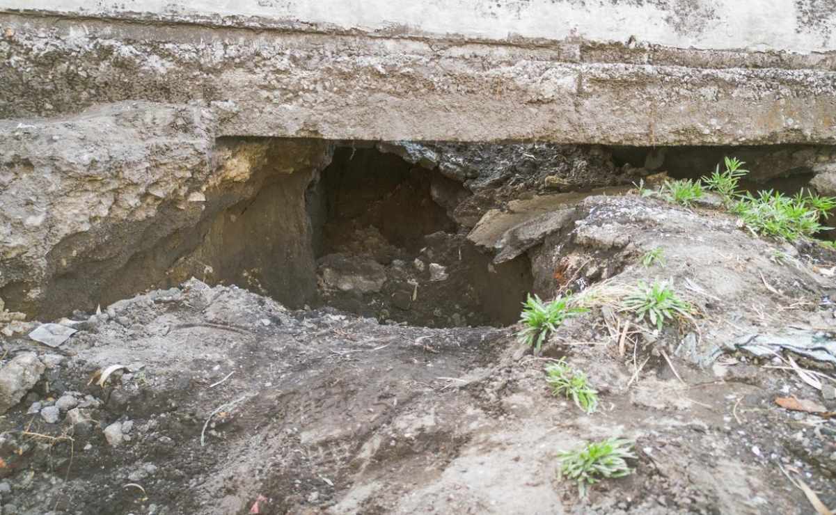 EU autoriza uso condicional de primer fármaco contra gusano barrenador; aplica únicamente en bovinos