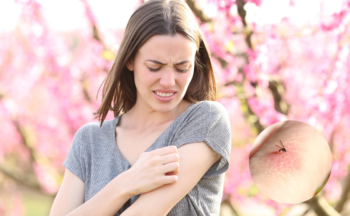 Coyoacán cerrará calles y avenidas por celebraciones del Día de Muertos del 31 de octubre al 2 de noviembre