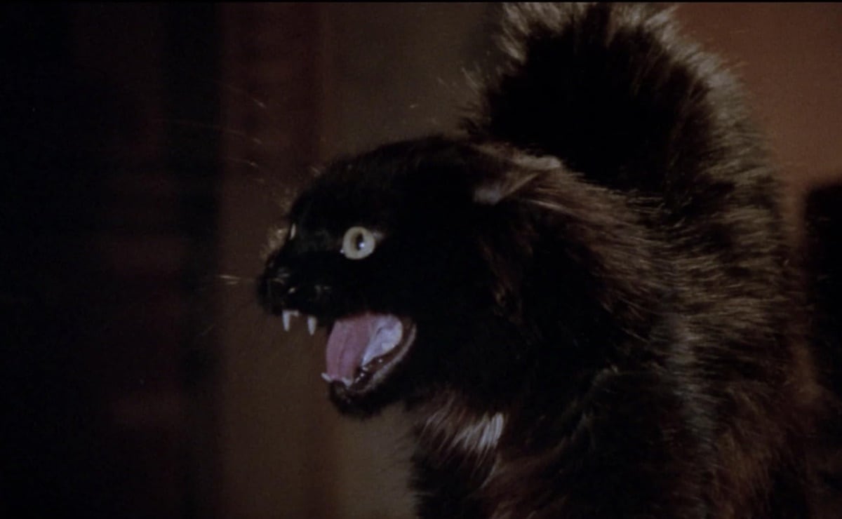 Inician festividades del Día de Muertos en Tepotzotlán; sábado habrá mega desfile de catrinas