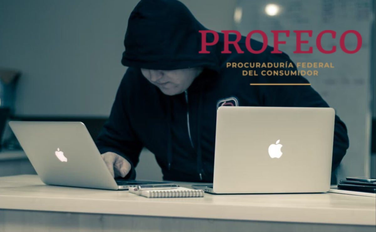 PAN ofrece apoyar a las ONG contra Tren Maya