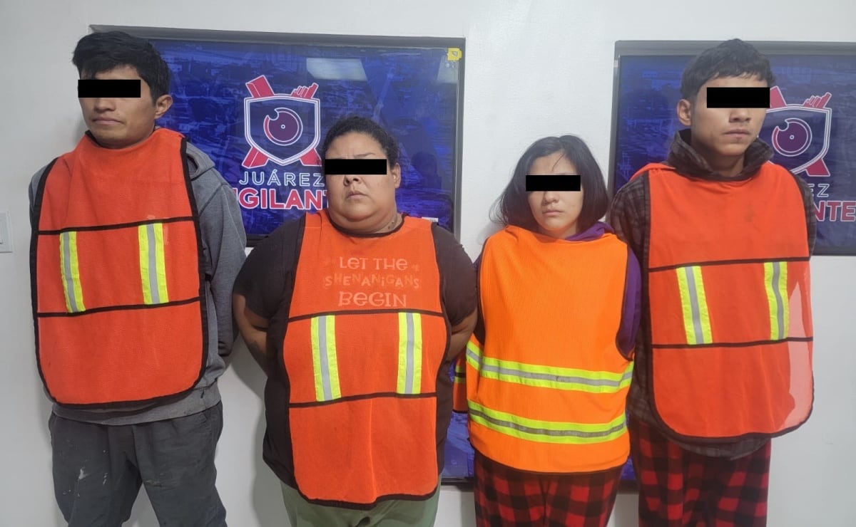 ¿Por qué los gatos nos hacen felices? Estudio revela razones