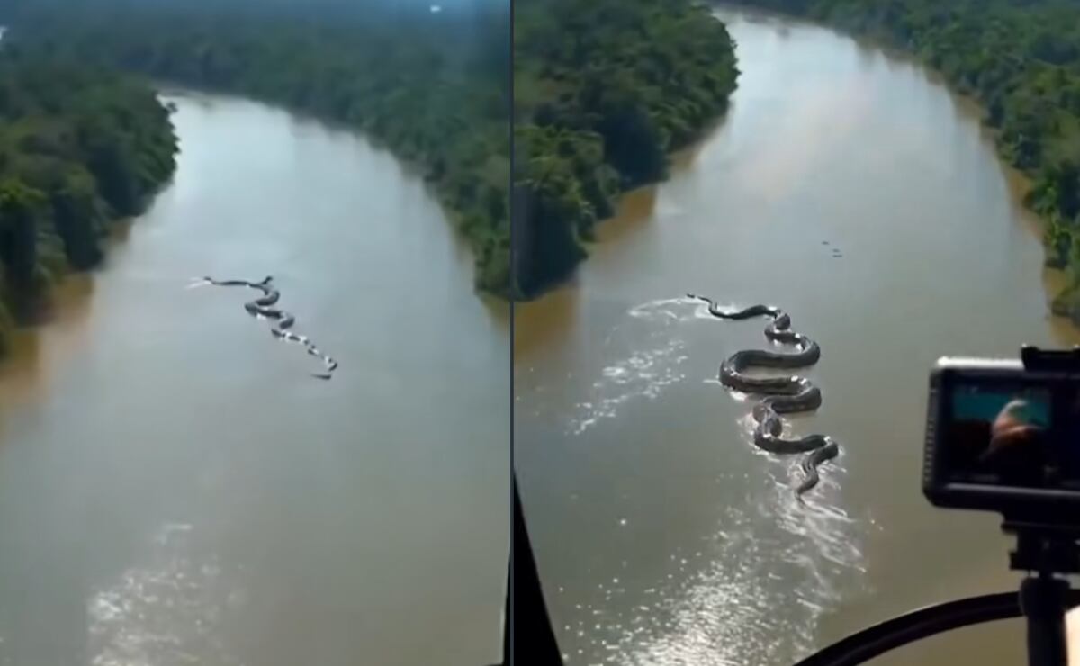 Senador estadounidense retrasa vuelo tras negarse a ponerse el cinturón de seguridad y discutir con el piloto. VIDEO
