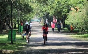 Visita estos parques en la CDMX para salir de la rutina