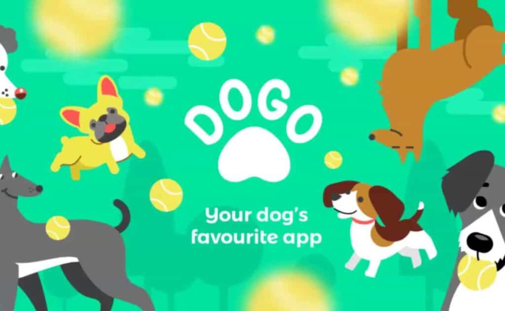 Ponte en forma junto a tu perro con esta app