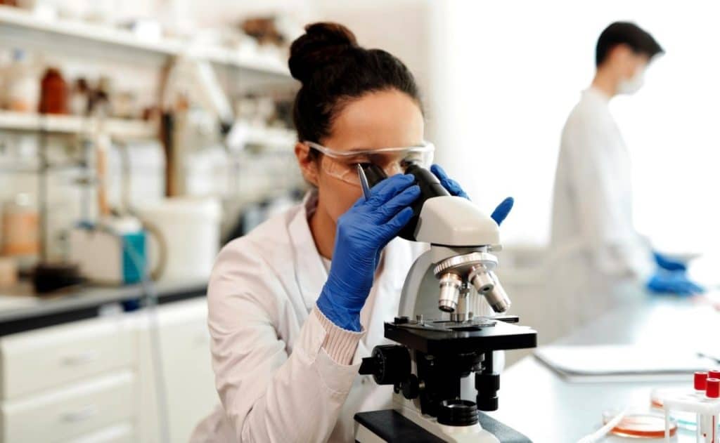 ¿Quieres estudiar Biología? Estas universidades son tu mejor opción