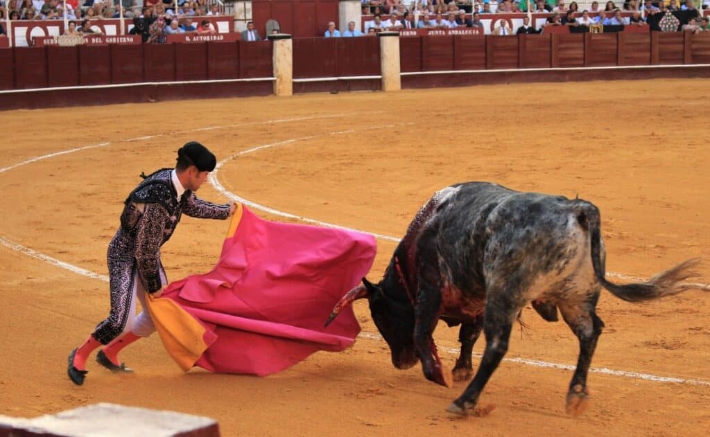 Tauromaquia, una polémica tradición