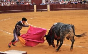 Tauromaquia, una polémica tradición