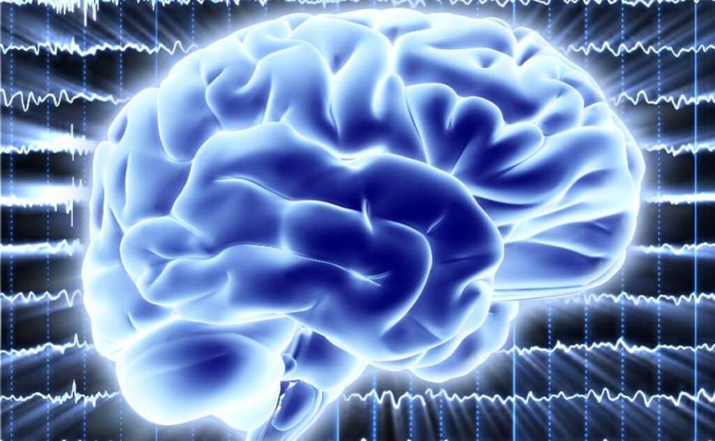 El "cerebro cuántico", la audaz teoría que puede ayudar a resolver el misterio de cómo surge la conciencia humana