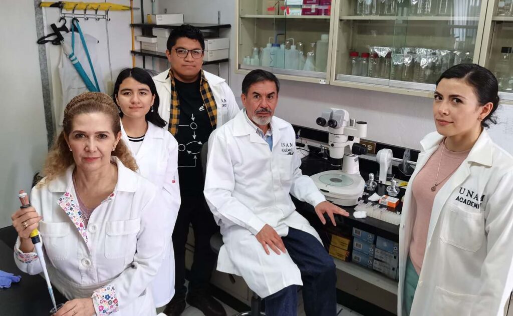 UNAM descubre molécula de RNA’s que puede ayudar contra la obesidad