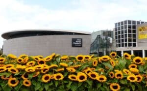 Van Gogh y los museos que resguardan su obra