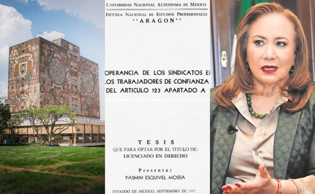 Cómo castiga la UNAM el plagio