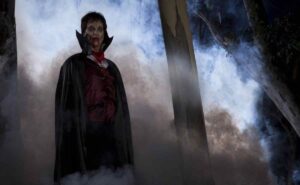 ¿Por qué se asocia al murciélago con el mito del vampiro?