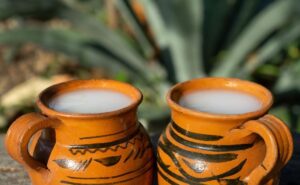 El pulque, la bebida ancestral de los dioses según la UNAM