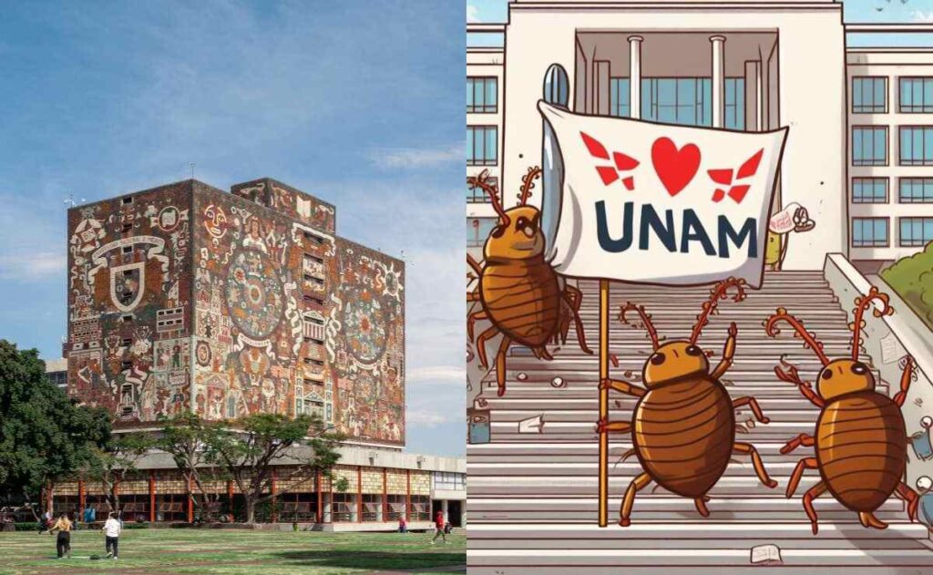 memes de la chinches en la unam