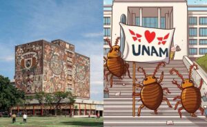Los mejores memes por la plaga de chinches en la UNAM