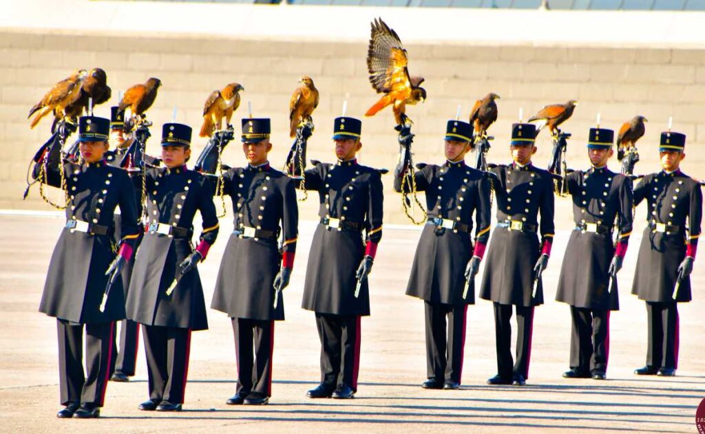 Estudia una licenciatura en el Ejército