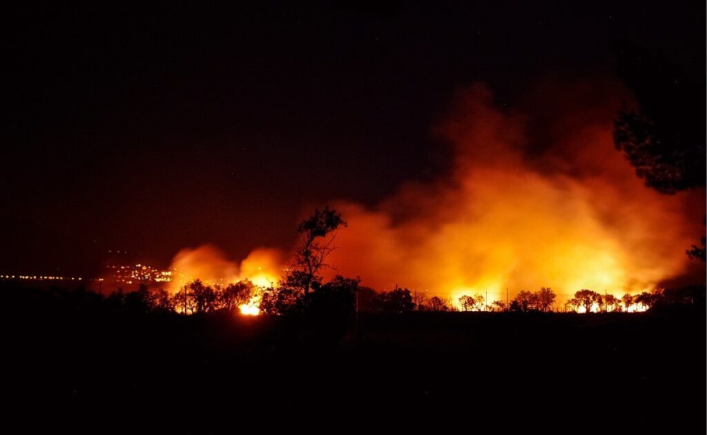 Estudiantes del Tec ganan concurso de la NASA con app que predice incendios forestales