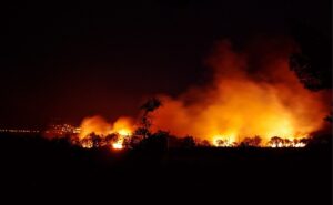 Estudiantes del Tec ganan concurso de la NASA con app que predice incendios forestales