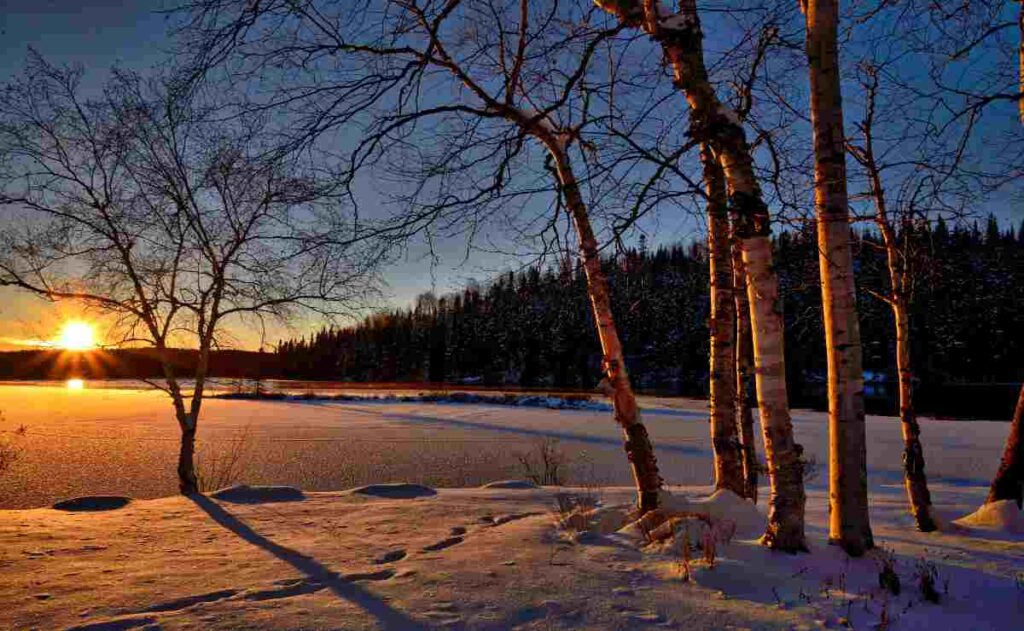 ¿Qué es el solsticio de invierno? UNAM lo explica