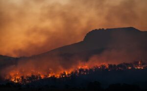 Cambio climático altera el ritmo de las estaciones y la vida en la Tierra