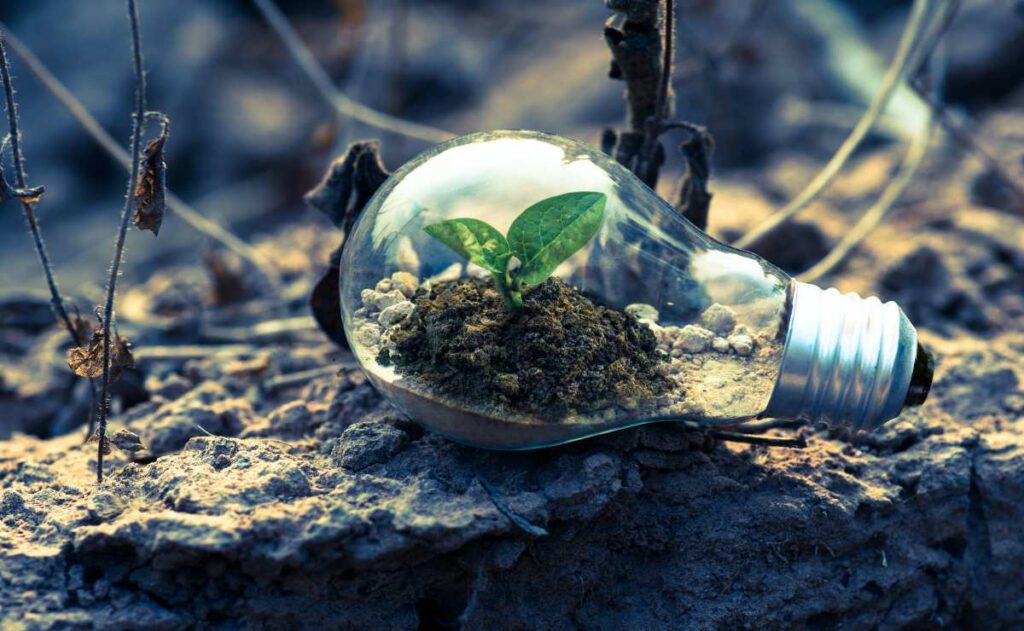 Participa en el Climatón UNAM; aquí te presentamos los detalles
