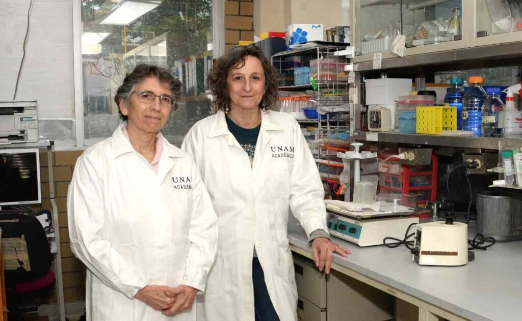 Científicas de la UNAM ganan premio por desarrollar molécula contra metástasis por cáncer de mama