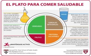 Método del plato de Harvard, la nueva dieta saludable