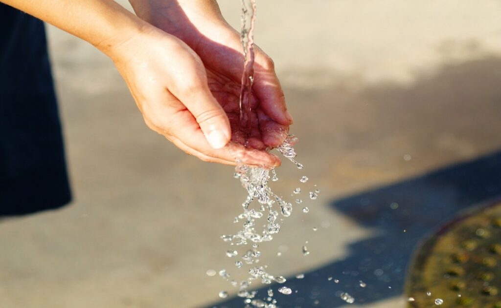 Día Mundial del Agua: Universum prepara actividades