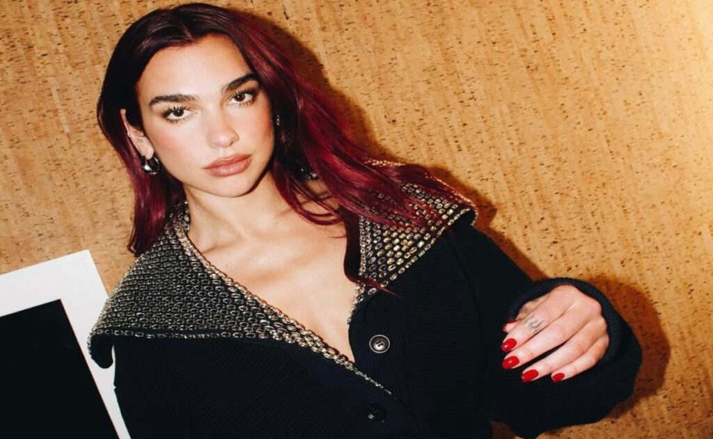 ¿Cuál es el nivel de estudios de Dua Lipa?