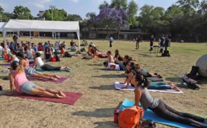 Recibe la primavera en las Islas de CU con esta actividad