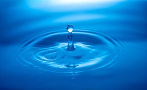 Día Mundial del Agua: 5 libros para entender la problemática