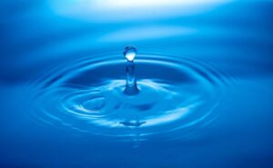 Día Mundial del Agua: 5 libros para entender la problemática