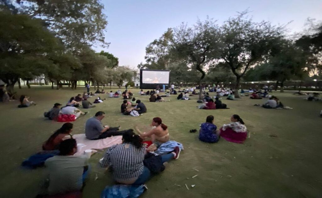 picnic nocturno IPN