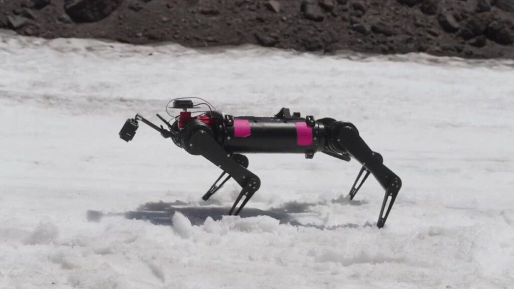 Robot cuadrúpedo desarrollado por universidades.