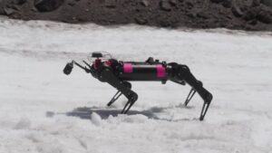 Universidades preparan a robot cuadrúpedo para un escenario lunar