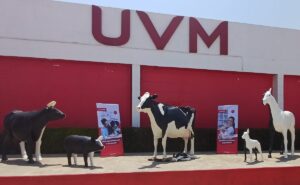 UVM lanza carrera de Medicina Veterinaria; todo lo que debes saber
