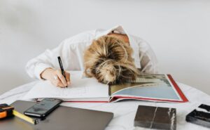 ¿El calor afecta tu desempeño escolar?