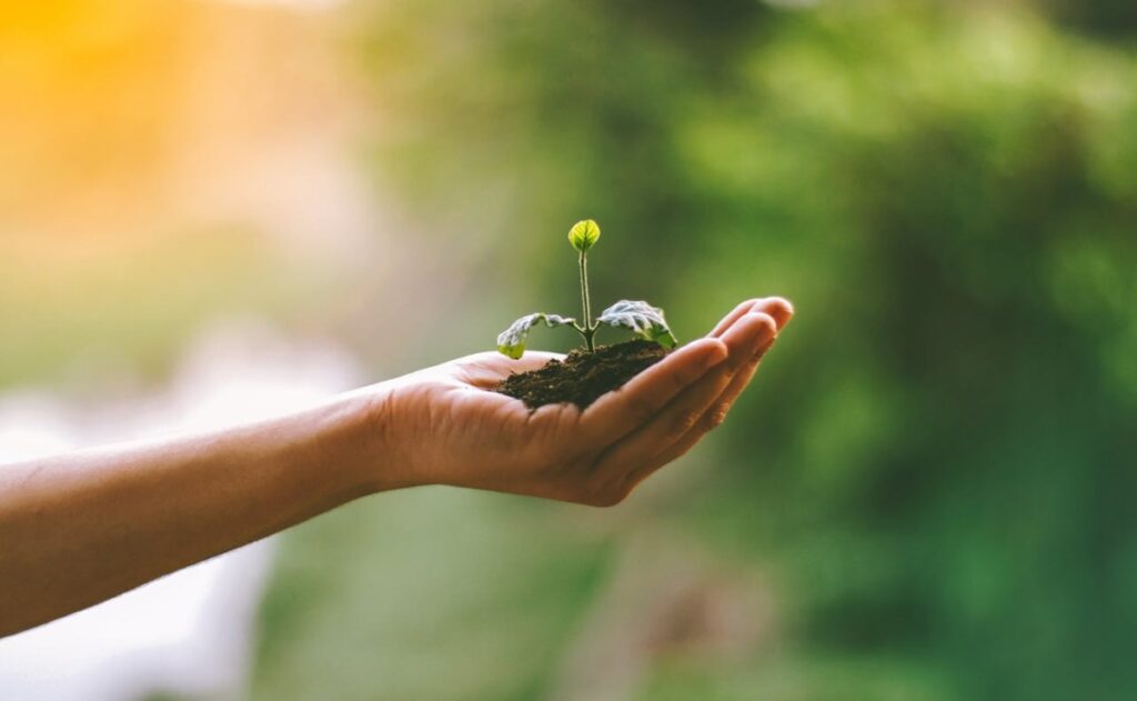 Carreras perfectas para ti si te interesa la preservación del medio ambiente