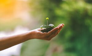 Carreras perfectas para ti si te interesa la preservación del medio ambiente