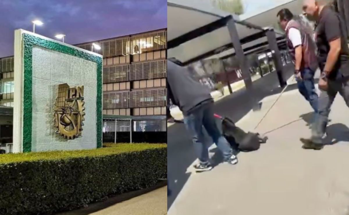 IPN: qué pasó con los perritos