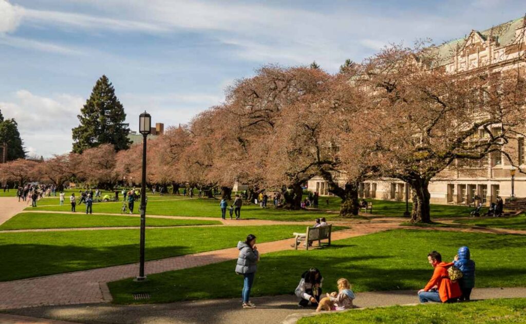 Estudiantes en universidad de EU 