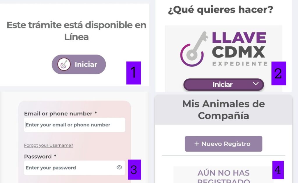 Cómo-registrar-a-tu-perrijo