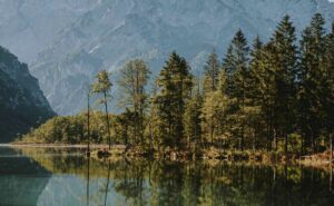 ¿Amas la naturaleza y el arte? Esta iniciativa de Google es para ti