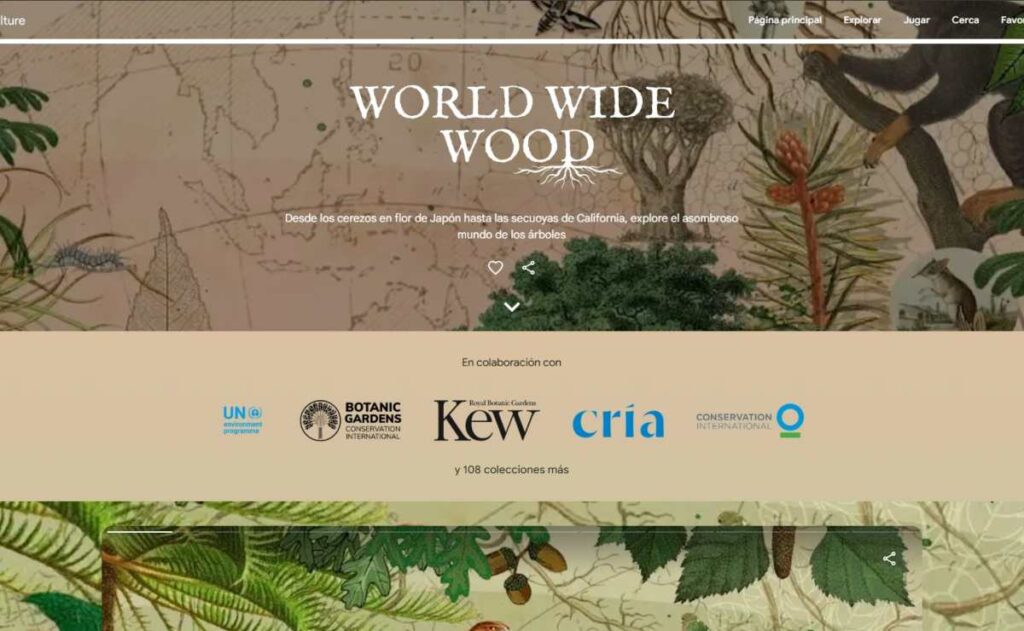 Google World Wide Wood